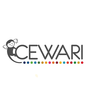 Full-Stack Software Engineer — CEWARI